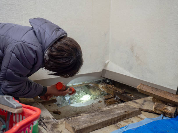Best Commercial Mold Inspection  in , AZ