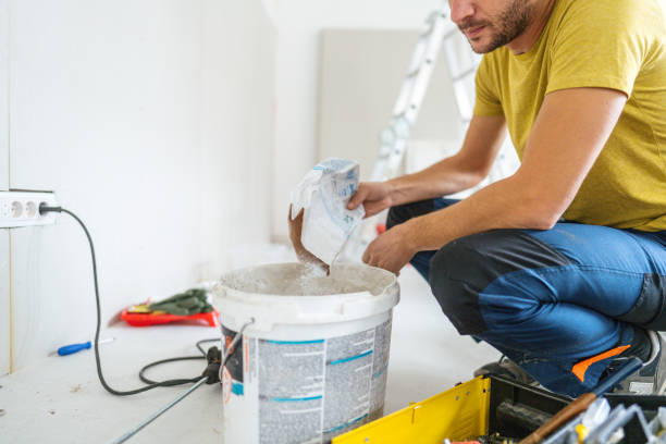 Best Mold Remediation for Healthcare Facilities  in , AZ