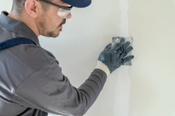 Best Environmental Consulting for Mold Prevention  in , AZ