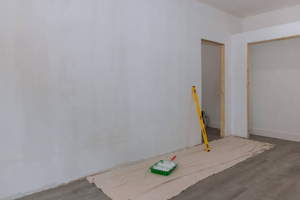 Best Black Mold Removal  in , AZ