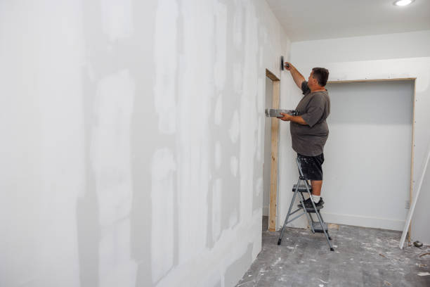 Best Real Estate Mold Inspection  in , AZ