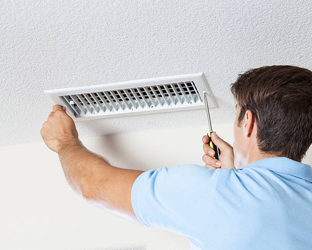 Best Mold Documentation for Insurance Claims  in , AZ