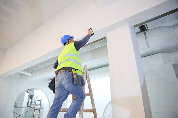  , AZ Mold Removal Pros