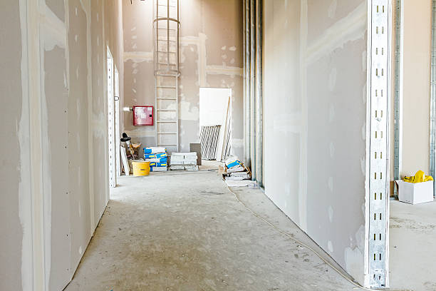 Best Forensic Mold Investigation  in , AZ